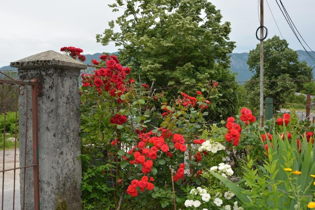 B&B Ana Virpazar Extérieur photo